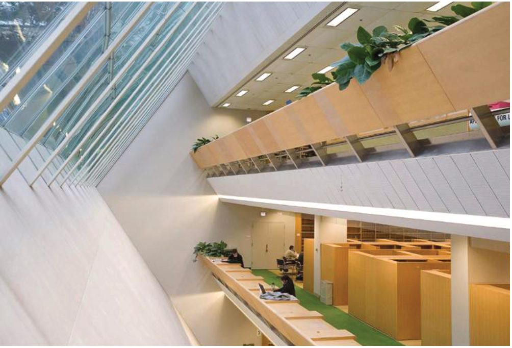 The atrium of the Underground Law Library with its three levels and sloping glass wall